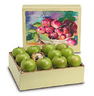 Granny Smith Apples