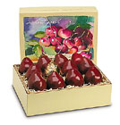 Columbia Red d'Anjou Pears