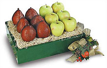 Red d'Anjou Pears & Golden Apples
