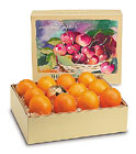 Navel Oranges