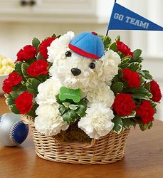 Sports Hound Dogable 800 Flowers from Clifford's where roses are our specialty