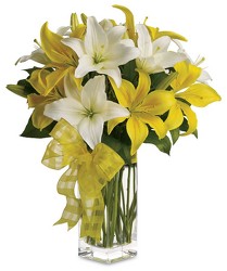 Springtime Lilies from Clifford's where roses are our specialty