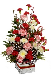 Candy Cane Cube