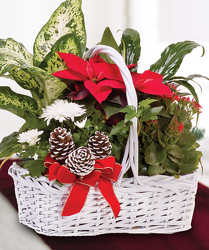 Poinsettia Garden Basket 