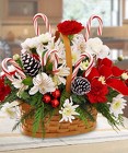 Peppermint Wonderland