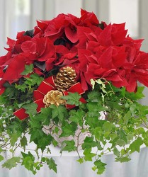 Poinsettia & Ivy Garden Basket from Clifford's where roses are our specialty
