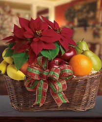 Festive Poinsettia Fruit Basket from Clifford's where roses are our specialty