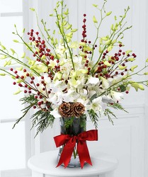 Orchids and Berries from Clifford's where roses are our specialty