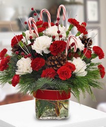 Candy Cane Celebration from Clifford's where roses are our specialty