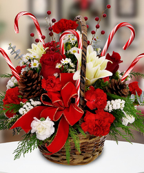 Candy Cane Basket from Clifford's where roses are our specialty