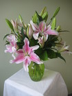 /images/Cliffords_Stargazer_Lilieslg.jpg Stargazer Lilies