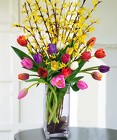 Tulips & Forsythia