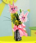 Funny Bunnies
