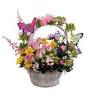 Butterfly Basket