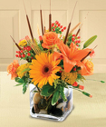 /images/F111-SplashofAutumnlg.jpg Splash Of Autumn