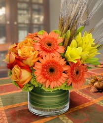 Trendy Autumn Fresh Bouquet from Clifford's where roses are our specialty