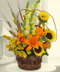 Sunflower Basket Bouquet from Clifford's where roses are our specialty