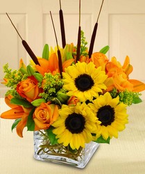 Splash of Autumn from Clifford's where roses are our specialty