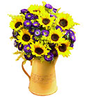 Sunflowers in a Country Pitcher