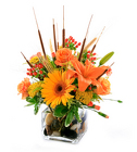 /images/F97lg.jpg Splash of Autumn