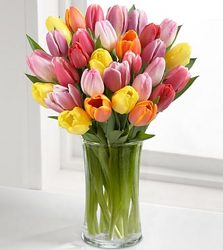 Rush Of Color Tulip Bouquet from Clifford's where roses are our specialty