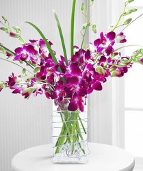 Orchid Delight from Clifford's where roses are our specialty