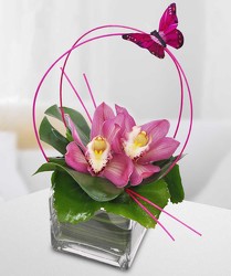 Orchid Sphere from Clifford's where roses are our specialty
