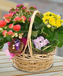 Blooming Garden Baskets from Clifford's where roses are our specialty