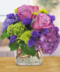 Purple Perfection from Clifford's where roses are our specialty