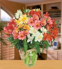 Mother's Lilies