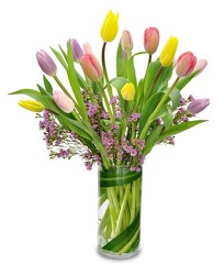 Spring Tulips from Clifford's where roses are our specialty