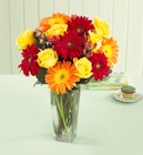 Best Wishes Rose and Daisy Bouquet with Vase