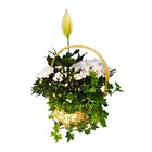 White Assortment Basket from Clifford's where roses are our specialty