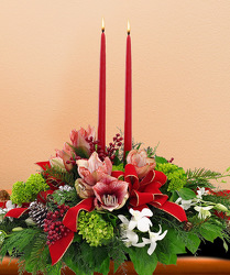 Christmas Orchid Centerpiece from Clifford's where roses are our specialty
