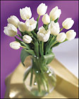 FTD Tulip Bouquet