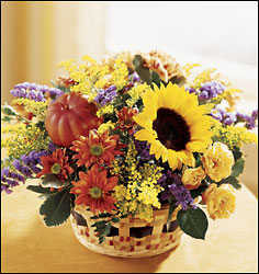 FTD Autumn Medley Basket