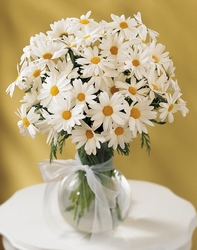 FTD Daisy Vase 