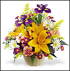 FTD Natural Wonders Bouquet