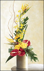 FTD Tropical Bright Arrangement