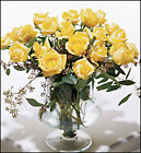 /images/ftd04/D6-2978lg.jpg FTD Classic Rose Bouquet