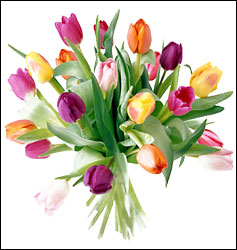 Mixed Stem Tulip Bouquet