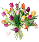 Mixed Stem Tulip Bouquet