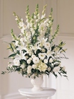 FTD Morning Stars Arrangement