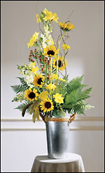 FTD Peaceful Passage Arrangement