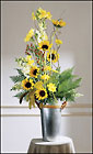 FTD Peaceful Passage Arrangement