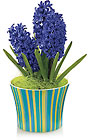 FTD Bounty of Spring Planter