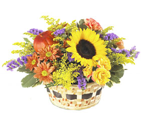 FTD Autumn Medley Basket from Clifford's where roses are our specialty