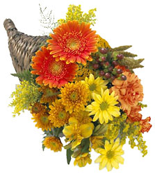 Bountiful Color Cornucopia from Clifford's where roses are our specialty