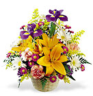 FTD Natural Wonders Bouquet