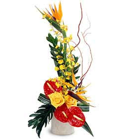 Tropical Bright Arrangement from Clifford's where roses are our specialty